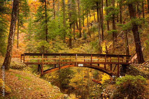 A bridge on the Pacific Crest Trail (PCT) crosses Squaw Valley Creek on a rainy autumn day in Siskiyou County, California, USA.   photo