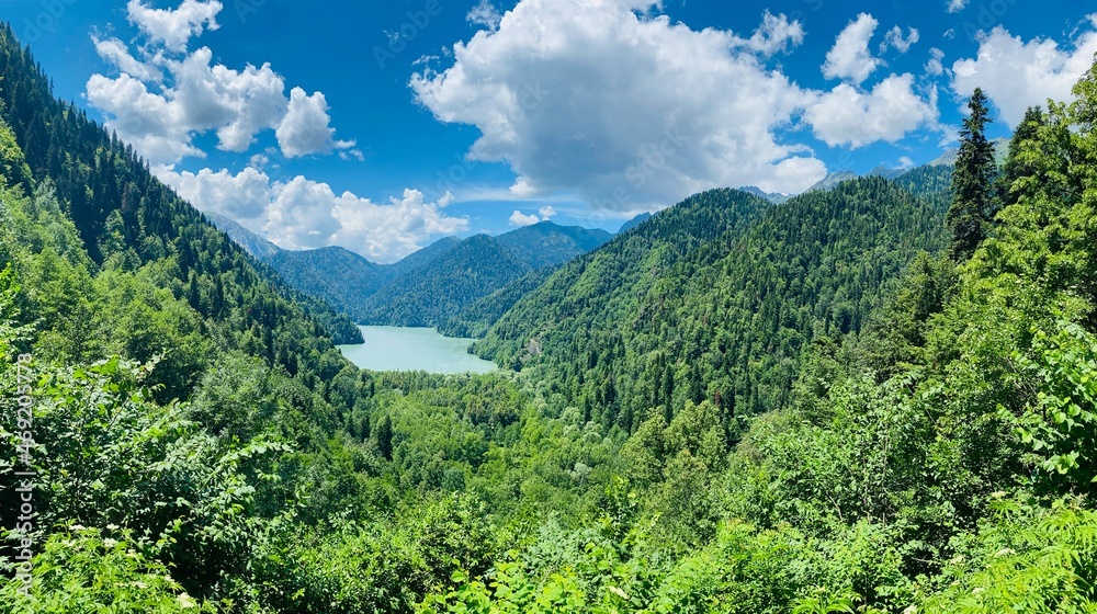 Naklejka premium landscape in summer