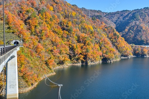 秋　山形長井ダム ながい百秋湖
