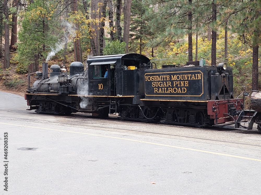 Obraz premium old steam train