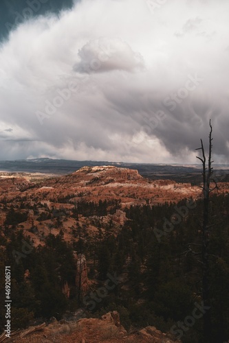 Red rock formations in the Bryce Canyon National Park