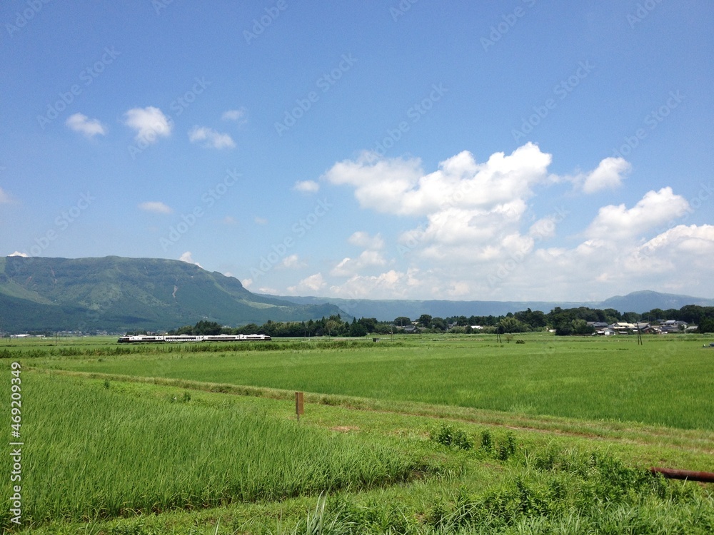 Naklejka premium 牧草大地
