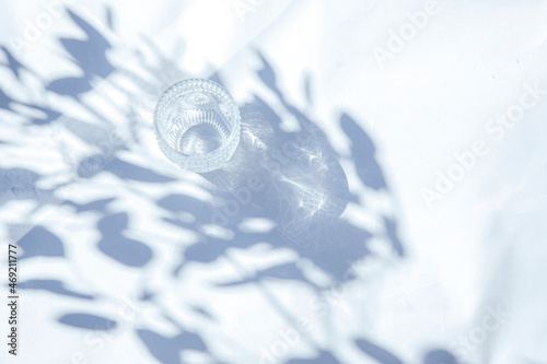 植物の影と白い背景の自然光が差し込む背景 © studio I.M.S