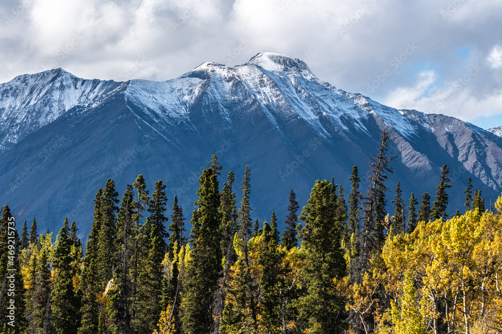 Beautiful September fall, autumn landscape image from northern Canada with boreal forest, spruce and pine tree and snow capped mountains background.