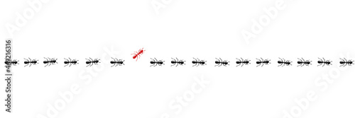 Ants trail with a changer. Think different and be unique concept. Vector illustration isolated in white background