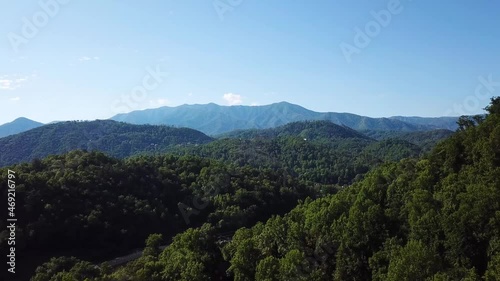 birds flying over lush green forest on Great Smoky Mountains in Tennessee, USA. aerial view