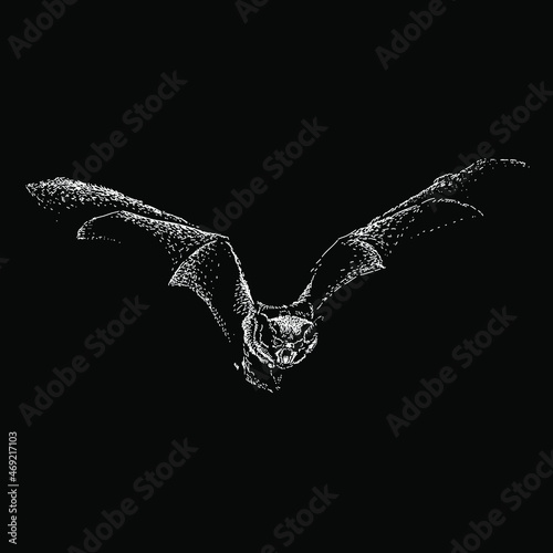 bat vector hand drawing illustration in scratch style. vector isolated element on the black background