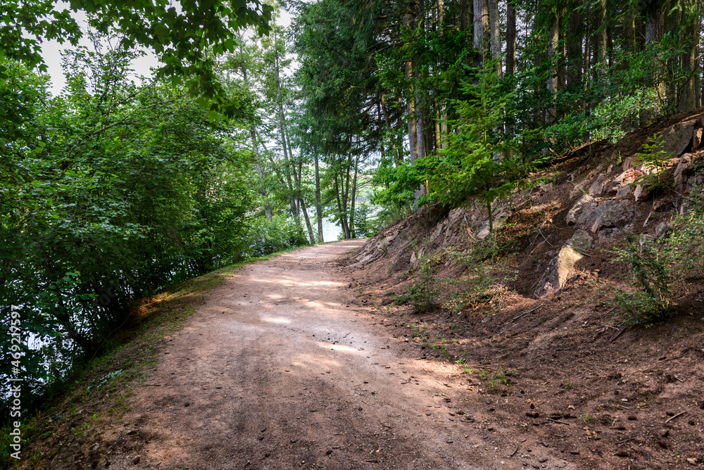 Fototapeta premium Le Lac des Sapins, Cublize