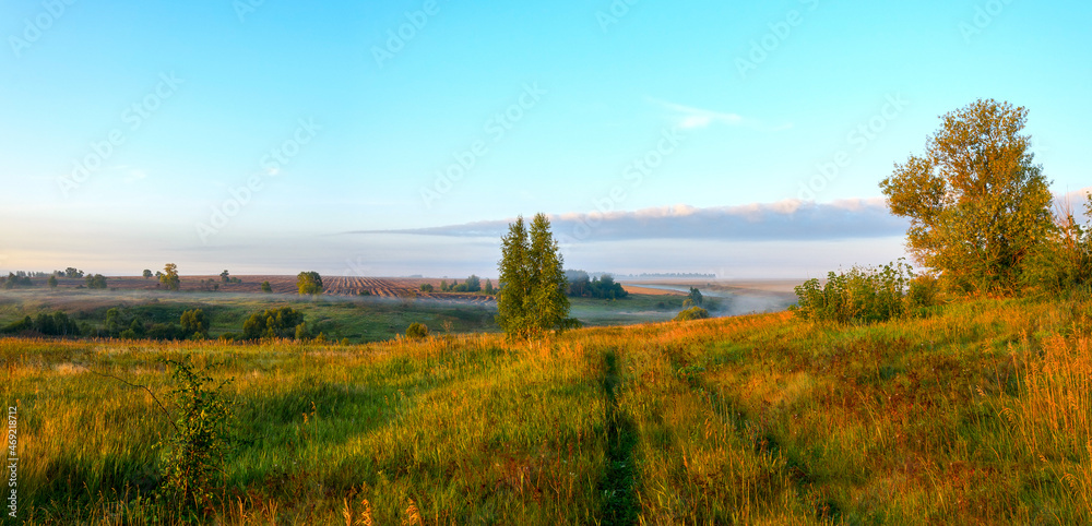 Sunny morning landscape with hills and trees