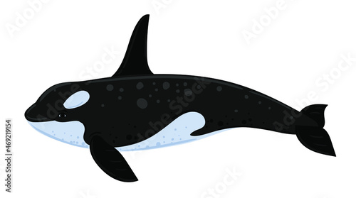 Cartoon killer whale. Underwater world, Marine life. Vector illustration of a whale. 