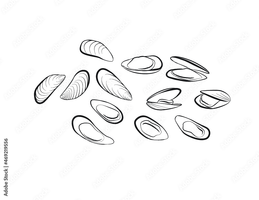 Mussels Black and White Line Art Vector Illustration