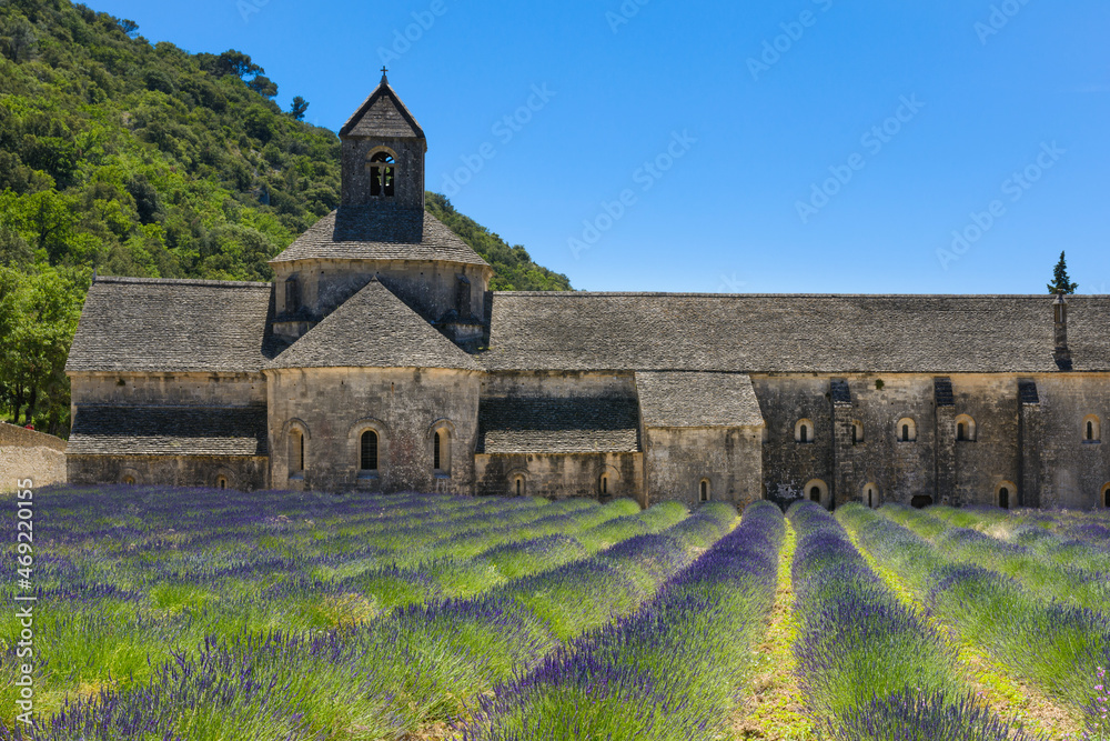 Abbaye de Senanque et champs de lavandes, France Abbaye de Senanque et champs de lavandes, France