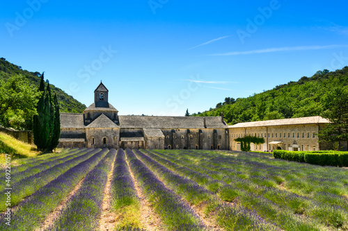 Abbaye de Senanque et champs de lavandes, France photo
