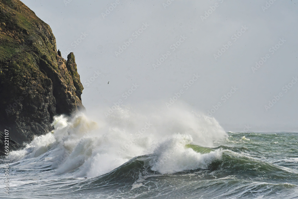 Obraz premium Spectacular surf at Cape Disappointment State Park