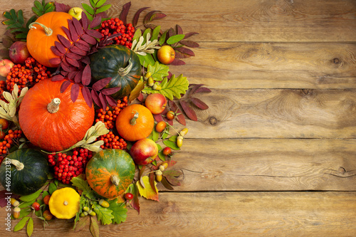 Fall pumpkins, rowan berry on the rustic wooden background