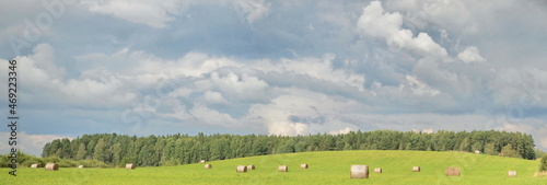 Meadow with hay rolls, green grass, forest, hill and clouds. photo