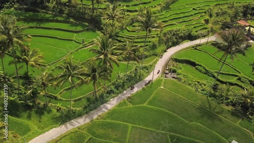drone shot slighty downwards tilt of a motorcycle riding through the ricefields paddies of Tirtagangga, Bali Indonesia 4k. photo