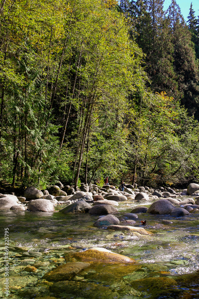 Canadian Forest and River in North Vancouver, BC, Canada. Wet stones in the flowing river with forest in the background.