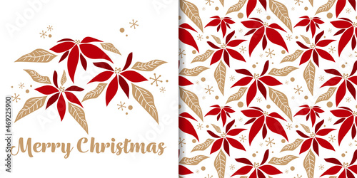 Christmas holiday season banner of Merry Christmas text and seamless pattern of Christmas winter poinsettia flower branches decorative and snowflakes on white background. Vector illustration.
