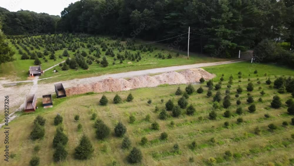 Low aerial flight over a Christmas Tree plantation farm. Forward Motion Drone shot. Low aerial flight over a Christmas Tree plantation farm. Forward Motion Drone shot.