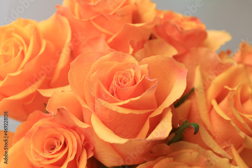 Close Up view of orange rose bouquet