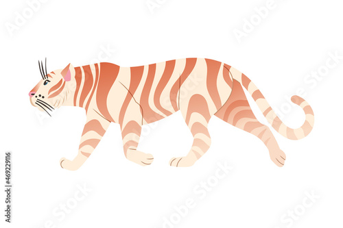Fototapeta Naklejka Na Ścianę i Meble -  White Bengal tiger animal. Side view of big wild cat vector illustration
