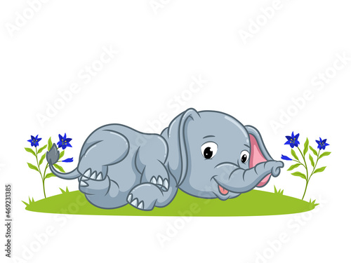 The elephant is laying down on the grass