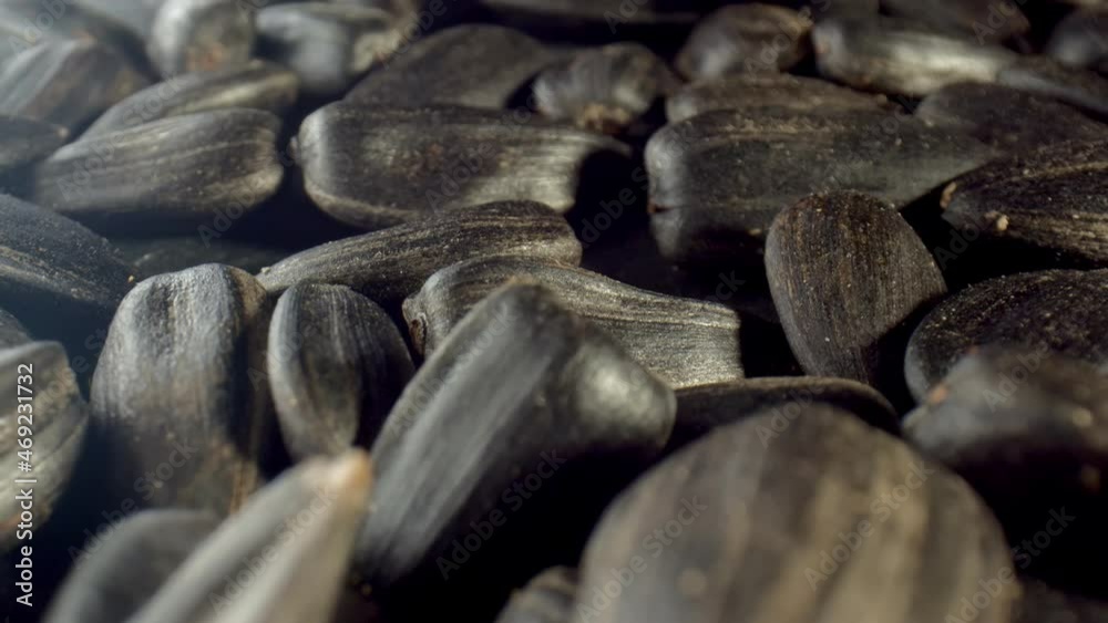 Lots of sunflower seeds on the dark surface of the table. The concept of using sunflower oil in the paint and varnish industry. High quality. 4k footage.