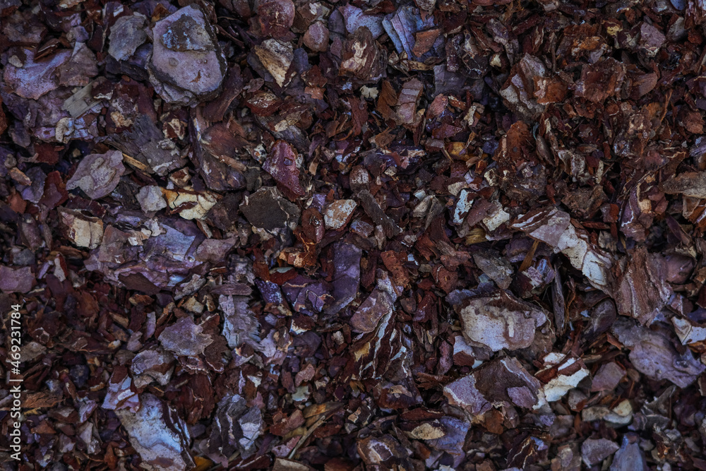 Dry autumn oak leaf on wet bark of a tree background Dry autumn oak leaf on wet bark of a tree background