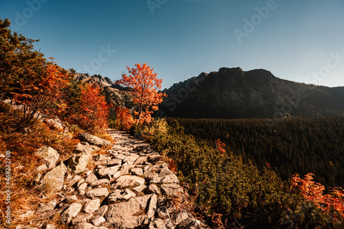 Hiking Strbske lake to popradske lake , very popular hiking destination in High Tatras National park, Slovakia. Autumn color nature . photo