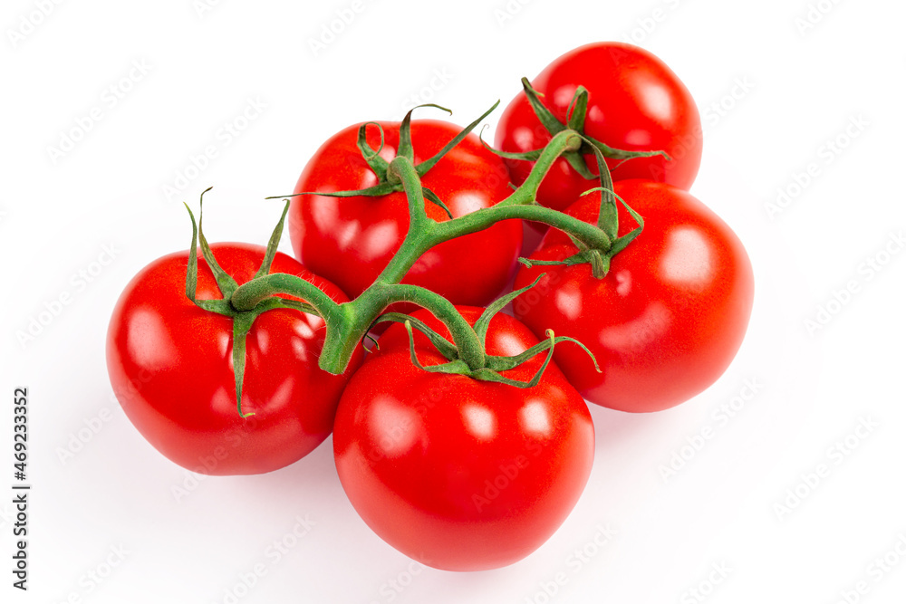 Five red tomatoes on a branch isolated on a white background. Selective focus. High quality photo Five red tomatoes on a branch isolated on a white background. Selective focus. High quality photo