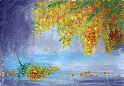 painting illustration of mimosa flower