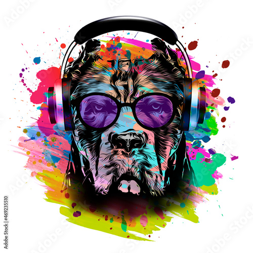 abstract colored dog muzzle in eyeglasses and headphones isolated on colorful background photo