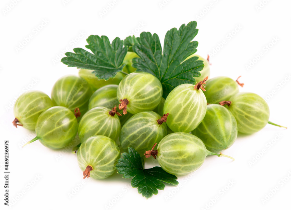 organic food, healthy food, green gooseberry fruits with leaf on white organic food, healthy food, green gooseberry fruits with leaf on white
