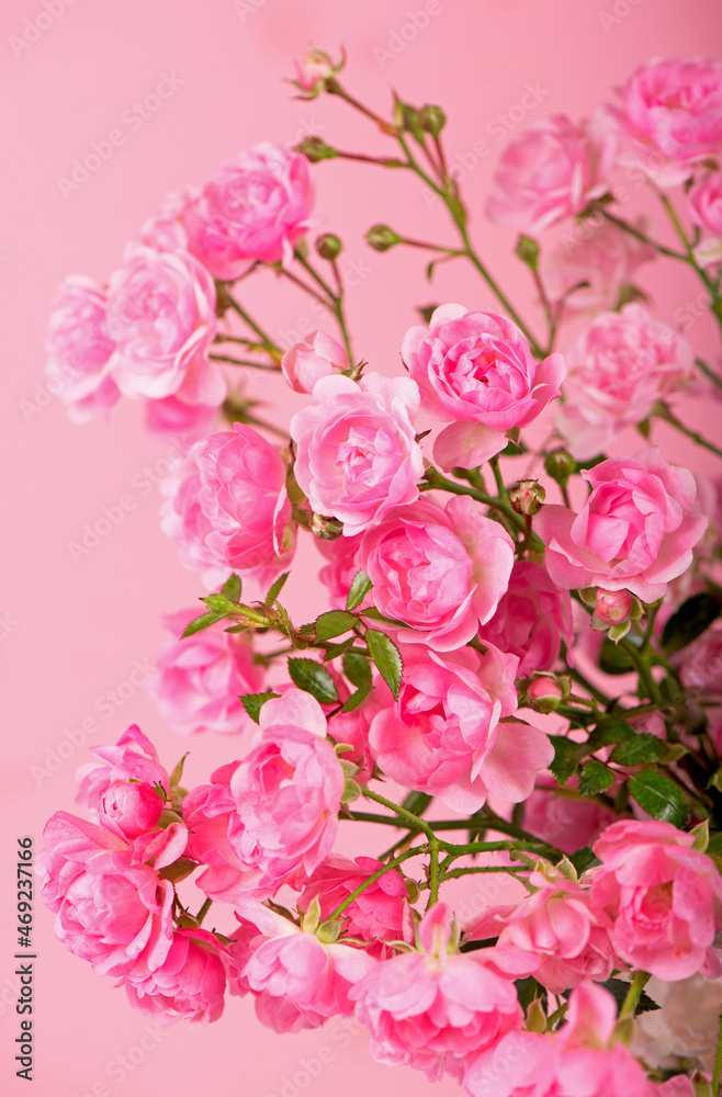 Beautiful Roses Bouquet Flowers isolated on pink background