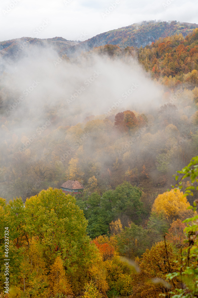 morning fogs in dumesti, alba county, romania