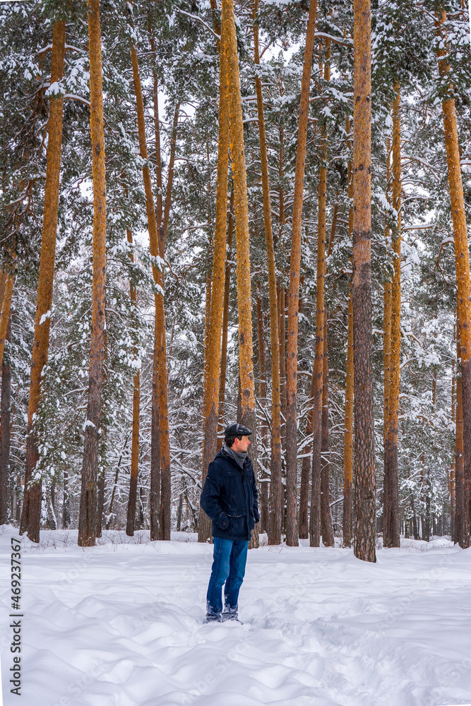 Man walking in winter snow covered forest in cloudy day. Man standing against landscape with pine trees. Human and nature, weekend at countryside, winter vacation concept Man walking in winter snow covered forest in cloudy day. Man standing against landscape with pine trees. Human and nature, weekend at countryside, winter vacation concept