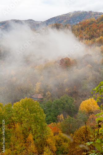 morning fogs in dumesti, alba county, romania