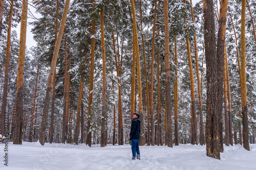 Man walking in winter snow covered forest in cloudy day. Man standing against landscape with pine trees. Human and nature, weekend at countryside, winter vacation concept