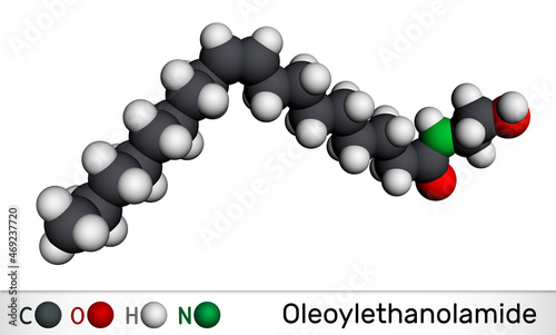 Oleoylethanolamide, oleoyl ethanolamide, OEA molecule. It is ethanolamide of oleic acid, monounsaturated analogue of endocannabinoid anandamide. Molecular model. 3D rendering photo