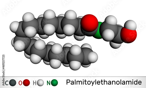 Palmitoylethanolamide, palmitoyl ethanolamide, palmidrol, PEA molecule. It is endogenous fatty acid amide, used as prophylactic of respiratory viral infection. Molecular model. 3D rendering photo