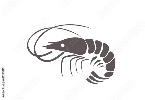 Shrimp vector illustration on white