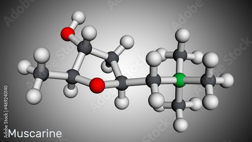 Muscarine or muscarin molecule. It is toxic alkaloid found in Amanita muscaria  fly fungus. Molecular model. 3D rendering