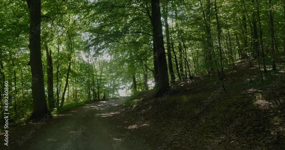 POV Walking Downwards Road in Exotic Gyllebo Forest in South Sweden Österlen, Wide Shot Tracking Forward POV Walking Downwards Road in Exotic Gyllebo Forest in South Sweden Österlen, Wide Shot Tracking Forward