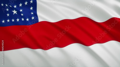 Amazonas - Waving Flag Video Background - Brazil State