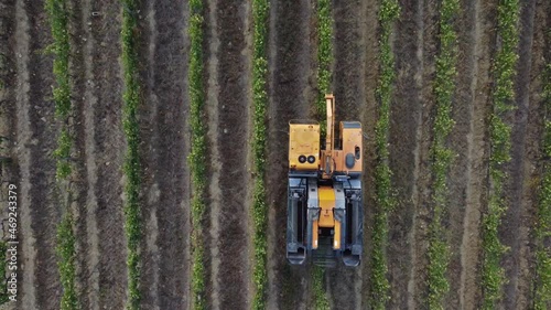 Grape Harvester At Work, Tuscany, Italy, top view