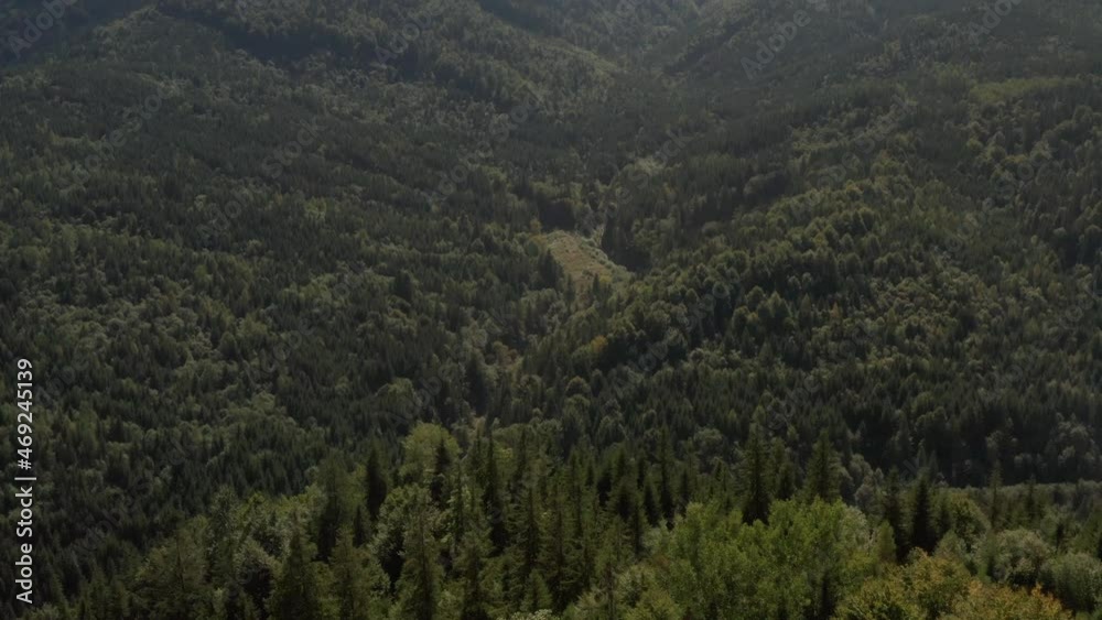 Aerial view of mighty forest. Camera tilting up and revealing picturesque mountain landscape Aerial view of mighty forest. Camera tilting up and revealing picturesque mountain landscape