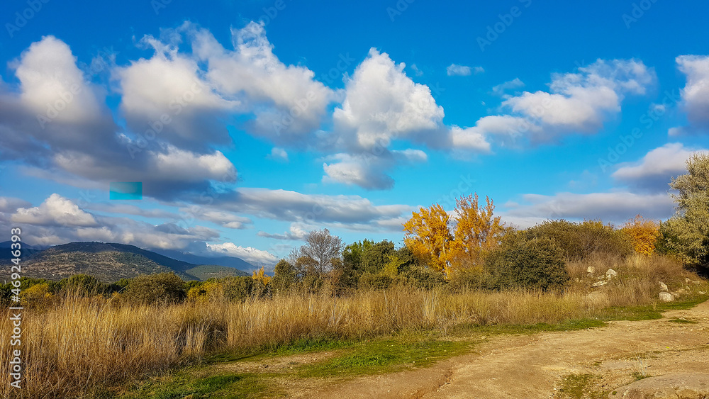 road or path through the countryside