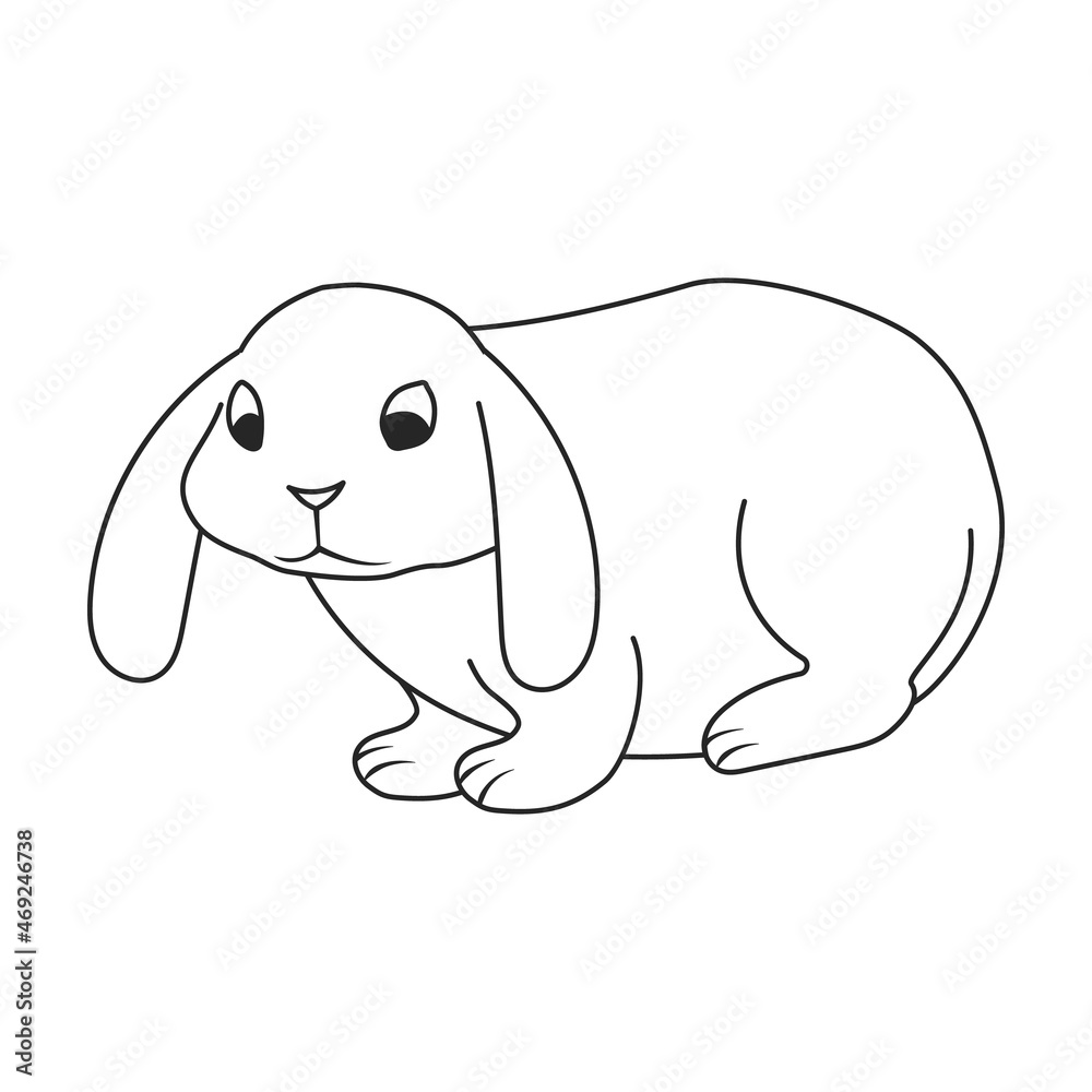 Rabbit vector icon.Outline vector icon isolated on white background rabbit. Rabbit vector icon.Outline vector icon isolated on white background rabbit.