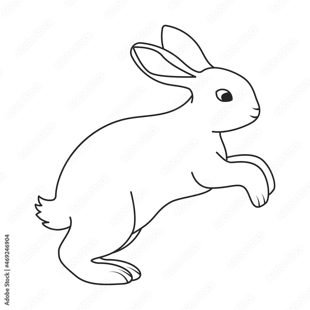 Obraz premium Rabbit vector icon.Outline vector icon isolated on white background rabbit.
